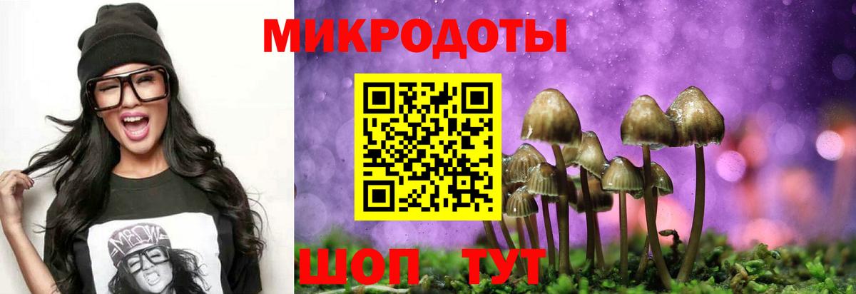 Северск  Галлюциногенные грибы ЛСД  Вход с VPN 